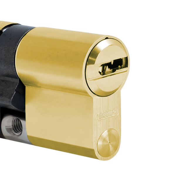 le&scaron;těn&aacute; mosaz