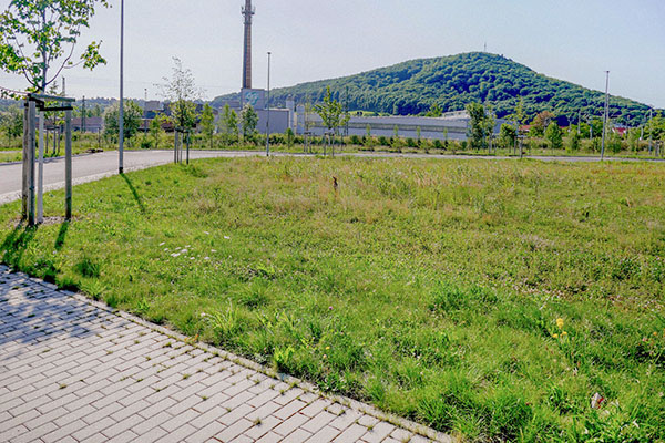 P1030883_1_grundstueck